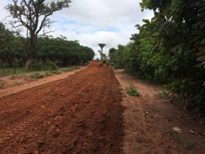 Aplicación de sellado en vía rural Korhogo Lataha Costa de Marfil
