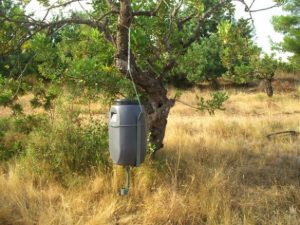 producción ecológica