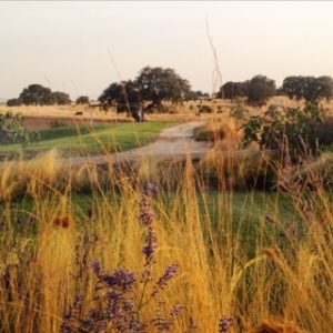 agricultura y ganadertia